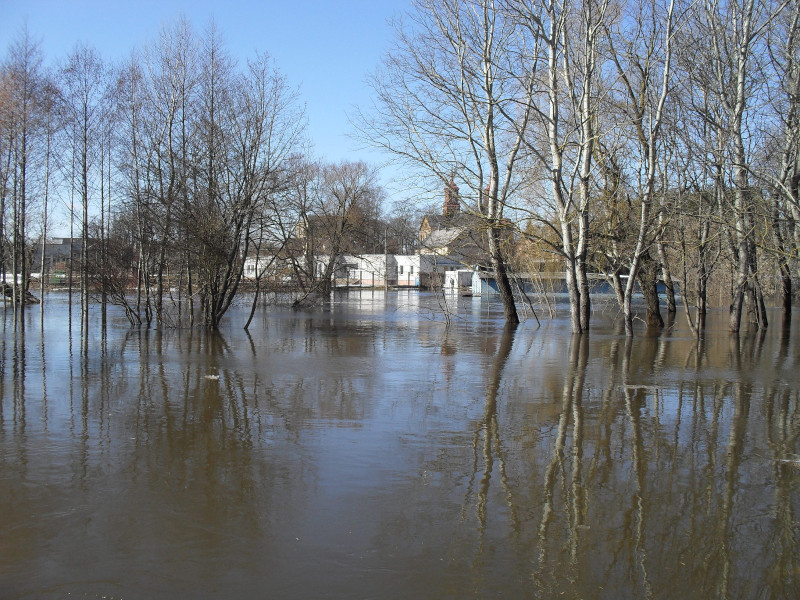 Panevėžys 2010 pavasaris potvynis