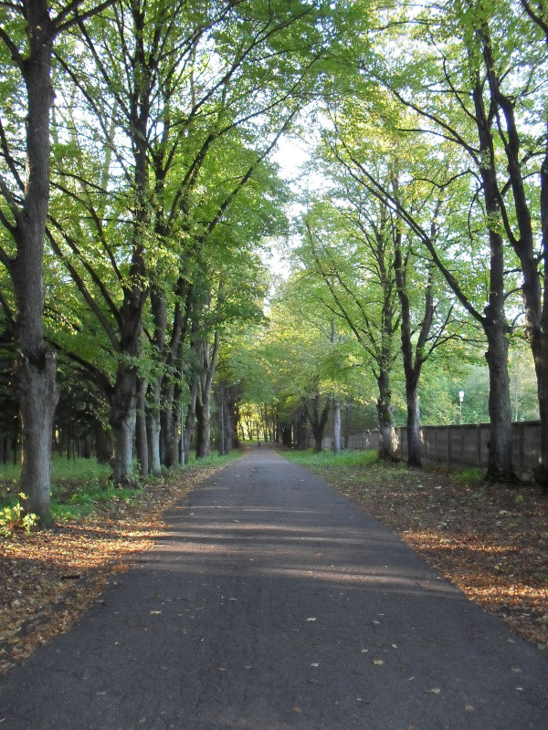 Panevėžys, Skaistakalnio parkas, ruduo